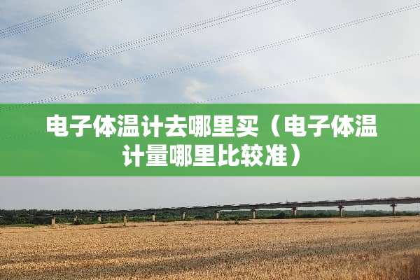 电子体温计去哪里买（电子体温计量哪里比较准）