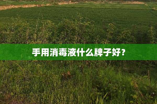 手用消毒液什么牌子好？