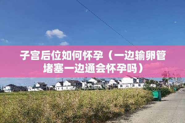 子宫后位如何怀孕（一边输卵管堵塞一边通会怀孕吗）