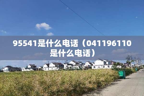 95541是什么电话（041196110是什么电话）