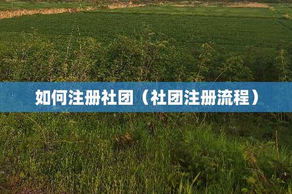 如何注册社团（社团注册流程）