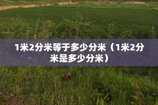 1米2分米等于多少分米（1米2分米是多少分米）