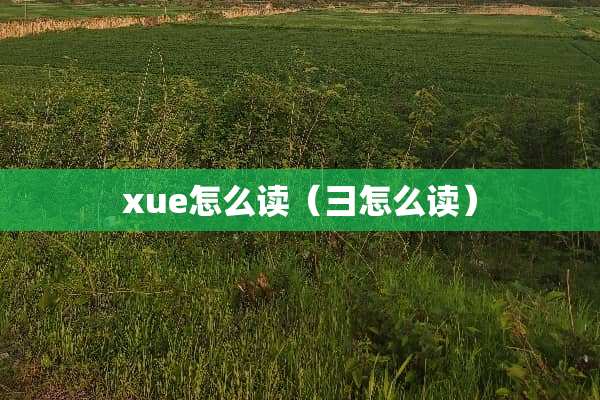 xue怎么读（彐怎么读）