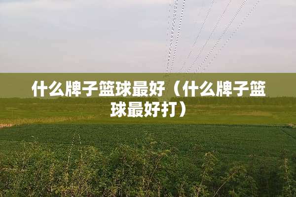什么牌子篮球最好（什么牌子篮球最好打）