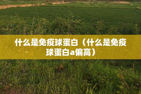 什么是免疫球蛋白（什么是免疫球蛋白a偏高）
