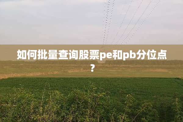 如何批量查询股票pe和pb分位点？