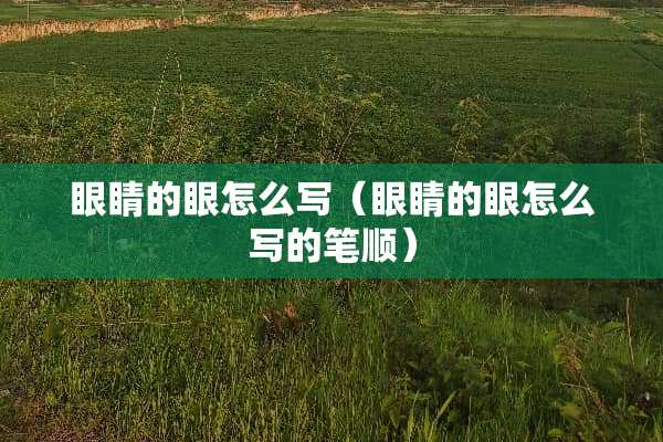 眼睛的眼怎么写（眼睛的眼怎么写的笔顺）