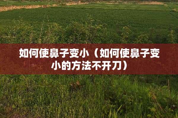 如何使鼻子变小（如何使鼻子变小的方法不开刀）