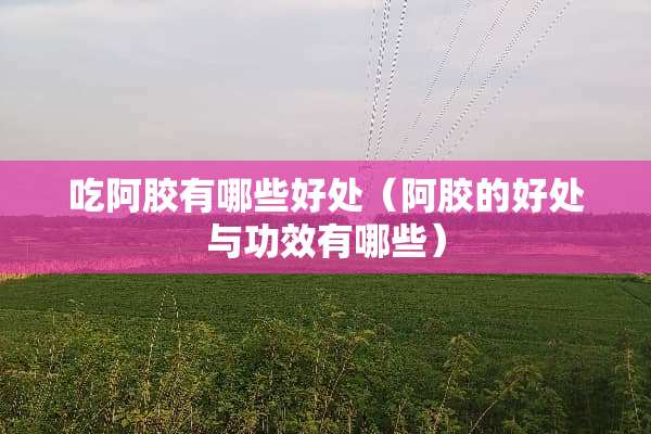 吃阿胶有哪些好处（阿胶的好处与功效有哪些）