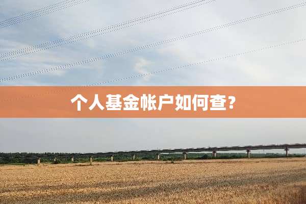 个人基金帐户如何查？