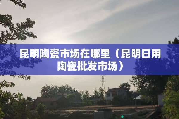昆明陶瓷市场在哪里（昆明日用陶瓷批发市场）