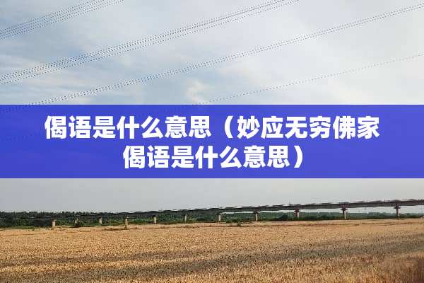 偈语是什么意思（妙应无穷佛家偈语是什么意思）