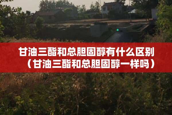 **三酯和总胆固醇有什么区别（**三酯和总胆固醇一样吗）