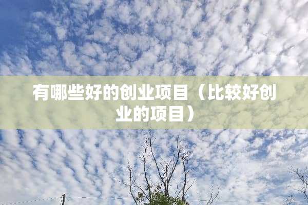 有哪些好的创业项目（比较好创业的项目）