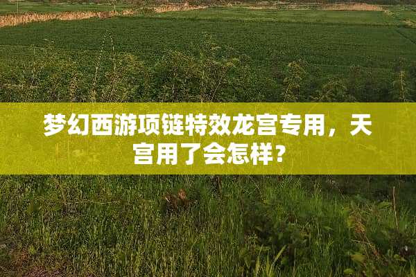 梦幻西游项链特效龙宫专用，天宫用了会怎样？