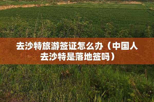 去沙特旅游签证怎么办（中国人去沙特是落地签吗）