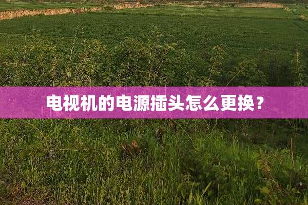 电视机的电源插头怎么更换？