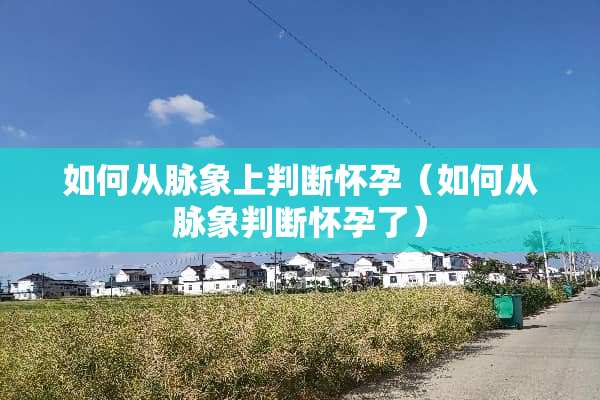 如何从脉象上判断怀孕（如何从脉象判断怀孕了）
