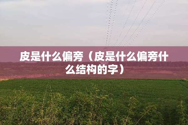 皮是什么偏旁（皮是什么偏旁什么结构的字）