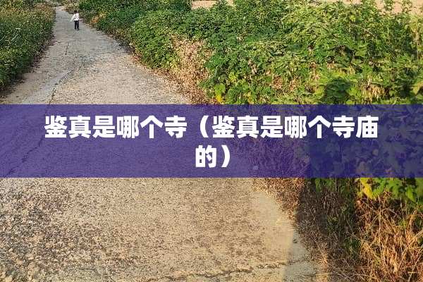 鉴真是哪个寺（鉴真是哪个寺庙的）