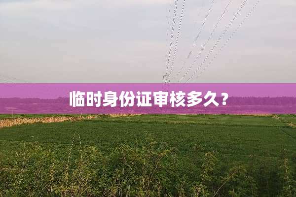 临时***审核多久？