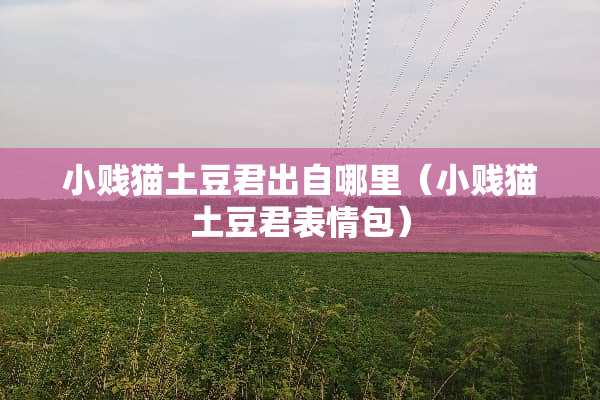 小贱猫土豆君出自哪里（小贱猫土豆君表情包）