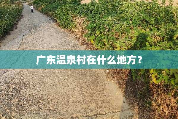广东温泉村在什么地方？