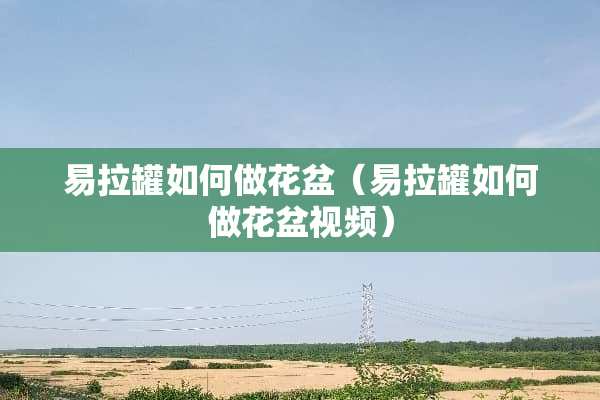 易拉罐如何做花盆（易拉罐如何做花盆视频）