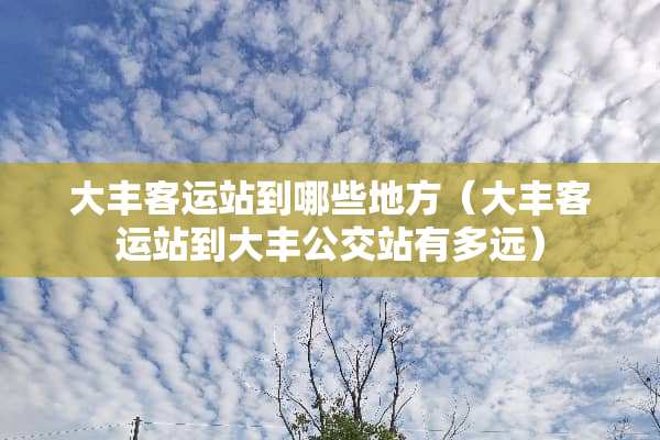 大丰客运站到哪些地方（大丰客运站到大丰公交站有多远）