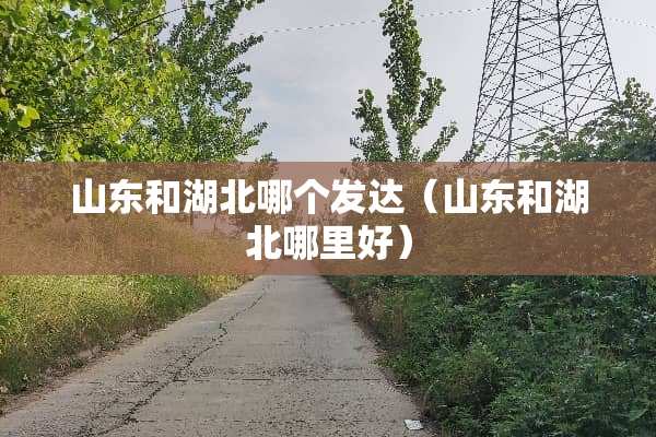 山东和湖北哪个发达（山东和湖北哪里好）