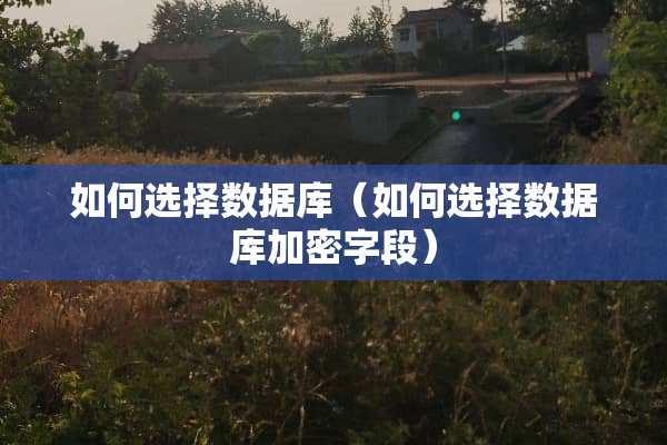 如何选择数据库（如何选择数据库加密字段）