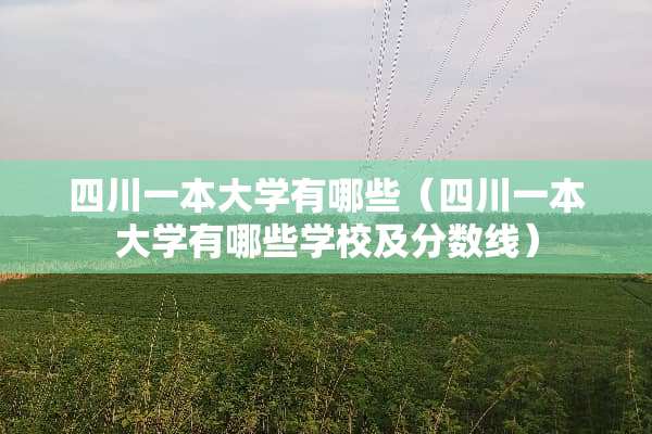 四川一本大学有哪些（四川一本大学有哪些学校及分数线）