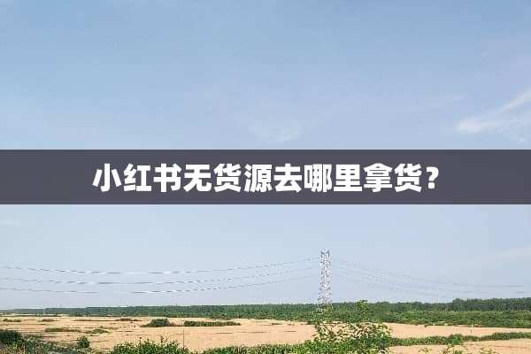 小红书无货源去哪里拿货？