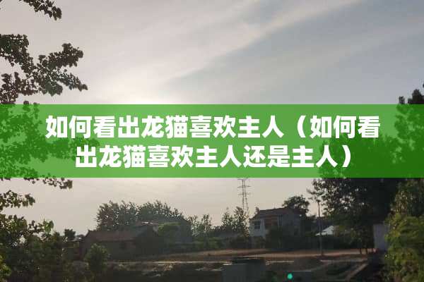 如何看出龙猫喜欢主人（如何看出龙猫喜欢主人还是主人）