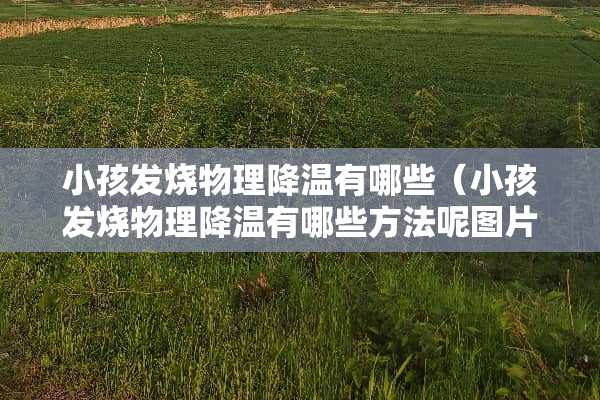 小孩发烧物理降温有哪些（小孩发烧物理降温有哪些方法呢图片）