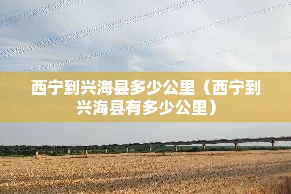 西宁到兴海县多少公里（西宁到兴海县有多少公里）
