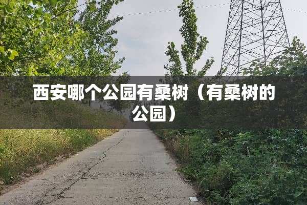 西安哪个公园有桑树（有桑树的公园）
