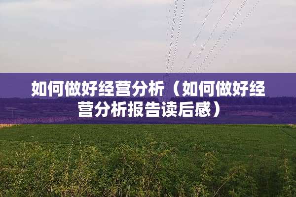 如何做好经营分析（如何做好经营分析报告读后感）