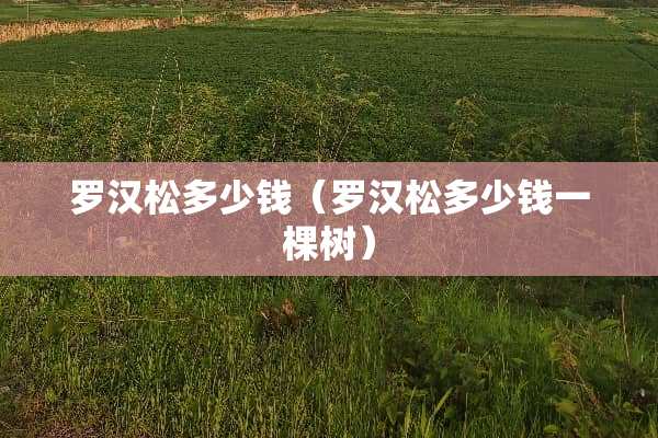 罗汉松多少钱（罗汉松多少钱一棵树）