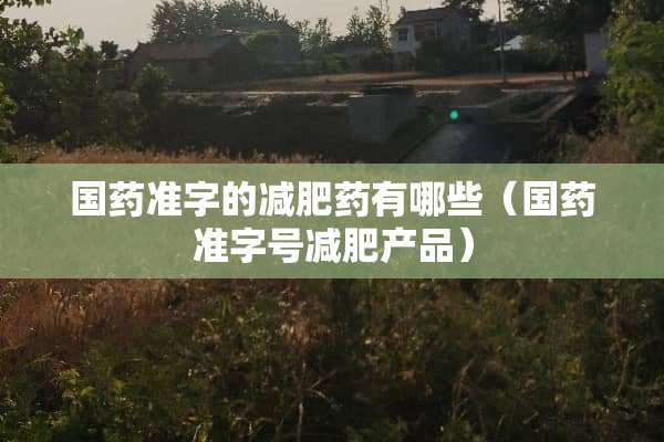 国药准字的***有哪些（国药准字号减肥产品）