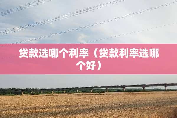 贷款选哪个利率（贷款利率选哪个好）