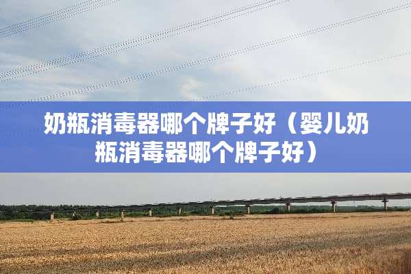 奶瓶消毒器哪个牌子好（婴儿奶瓶消毒器哪个牌子好）