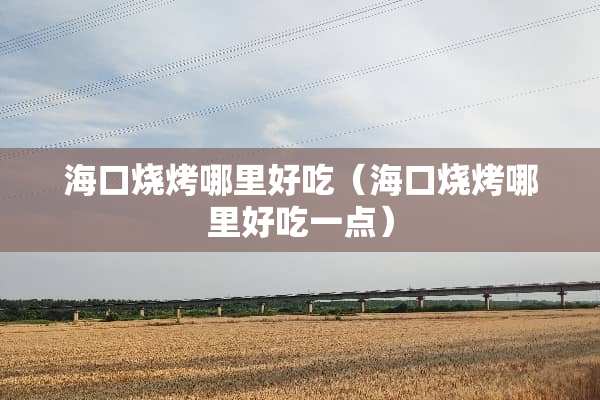 海口烧烤哪里好吃（海口烧烤哪里好吃一点）