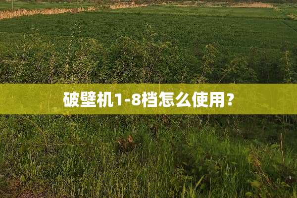 破壁机1-8档怎么使用？