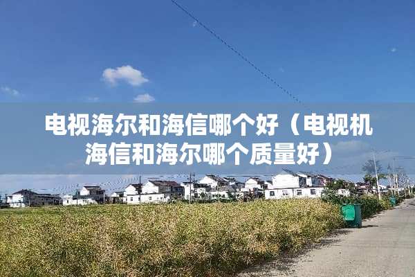 电视海尔和海信哪个好（电视机海信和海尔哪个质量好）