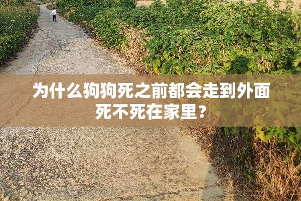 为什么狗狗死之前都会走到外面死不死在家里？