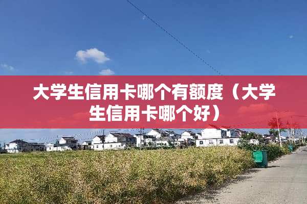 大学生***哪个有额度（大学生***哪个好）