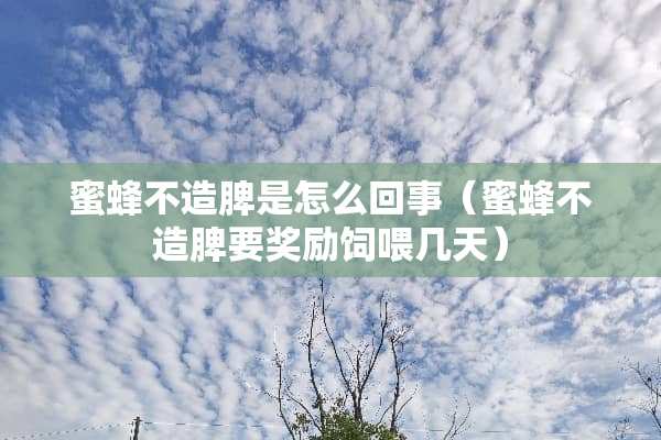 蜜蜂不造脾是怎么回事（蜜蜂不造脾要奖励饲喂几天）
