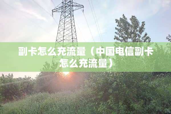副卡怎么充流量（中国电信副卡怎么充流量）