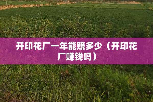 开印花厂一年能赚多少（开印花厂赚钱吗）